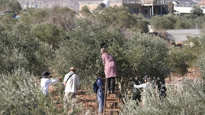 Filistin topraklarını gasbeden İsrailliler, Batı Şeria'da Filistinlilere ve evlerine saldırdı