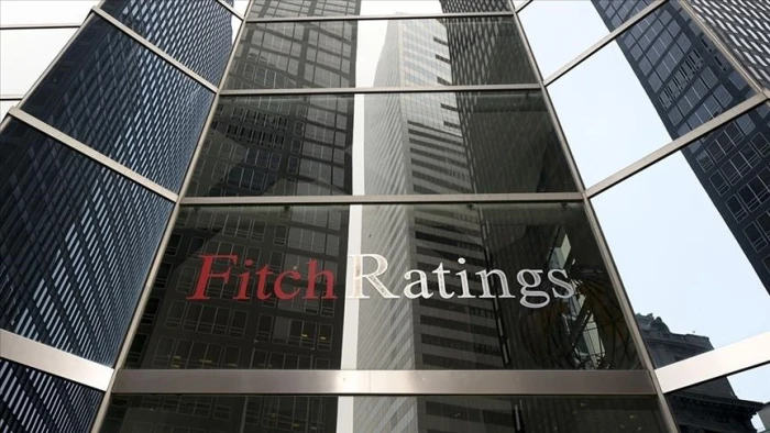 Fitch: ABD'nin Gr&ouml;nland ile ilgili tarife tehdidi, Avrupa'daki jeopolitik riskleri artırıyor