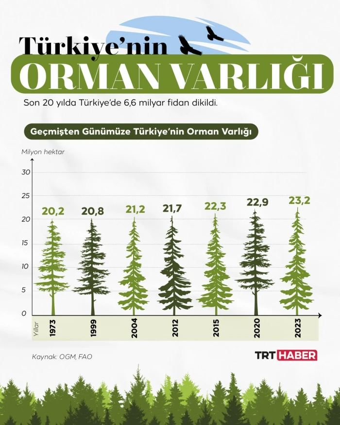 GRAFİKLİ - Türkiye dünyada ormanlık alanını en fazla artıran ülkeler arasında