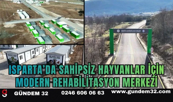Isparta'da sahipsiz hayvanlar i&ccedil;in modern rehabilitasyon merkezi