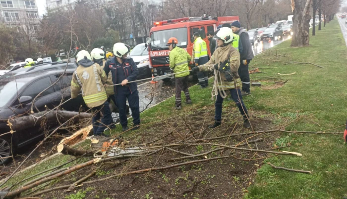 İstanbul'da fırtına nedeniyle 69 olaya m&uuml;dahale edildi