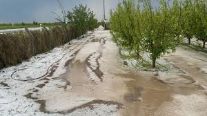 Karaman'da dolu tarım arazileri ve bahçelerde hasara yol açtı
