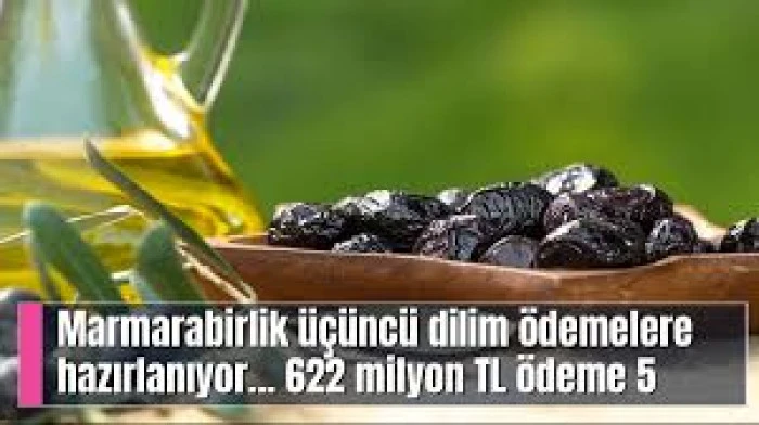 Marmarabirlik, ortaklarına yarın 622 milyon lira ödeme yapacak