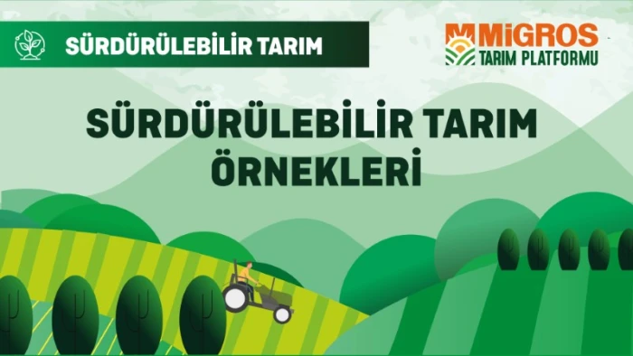 Migros tarımda s&uuml;rd&uuml;r&uuml;lebilirlik projesiyle k&uuml;resel &ccedil;apta &ouml;rnek g&ouml;sterildi
