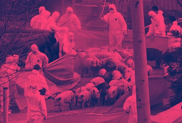 Nijerya olası Ebola salgınına karşı &ouml;nlemleri artırdı