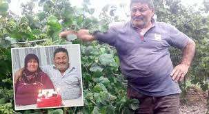 Ordu'da yaban domuzunun saldırısına uğrayan karı koca yaralandı