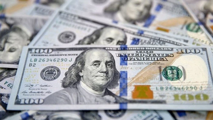 Reel efektif d&ouml;viz kuru endeksi mayısta 105,55 oldu