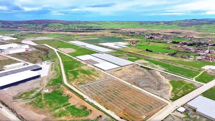 Samsun Bafra Sera Organize Tarım B&ouml;lgesi'nden ekonomiye yıllık 1,5 milyar lira katkı