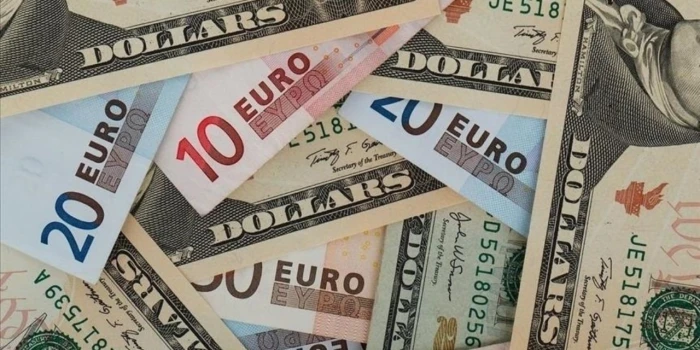 Serbest piyasada d&ouml;viz a&ccedil;ılış fiyatları