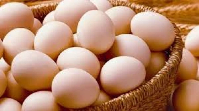 Sofralık yumurta ihracatında muafiyet düzenlemesi