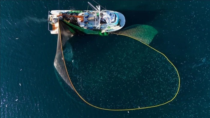 Su ürünleri avcılığı sözleşmeli üretim kapsamına alındı