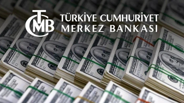 TCMB d&ouml;viz kurları