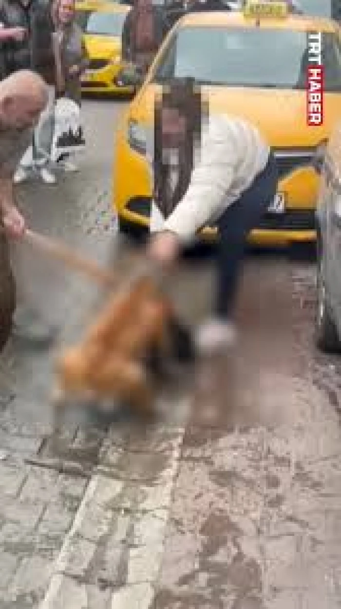 Tekirdağ'da pitbullun sahipli k&ouml;peğe saldırma anı kamerada