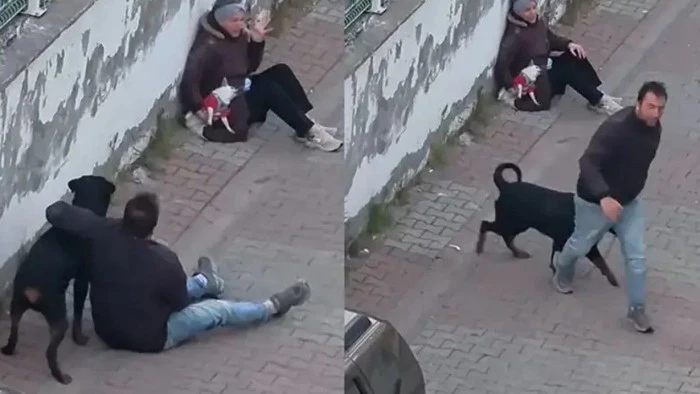 &Uuml;mraniye'de bir kadına ve k&ouml;peğine saldıran k&ouml;peğin sahibi yakalandı